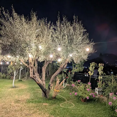 公寓 With Cute Garden Space 奈德里